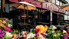 The Roebuck