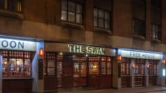 The Swan