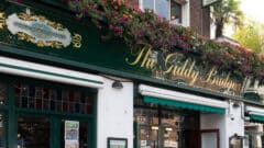 The Giddy Bridge
