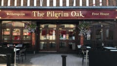 The Pilgrim Oak
