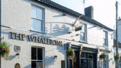 The Whalebone