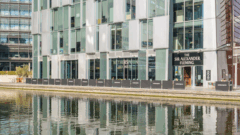 The Sir Alexander Fleming